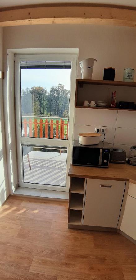 Three Apartment Františkovy Lázně Esterno foto